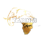Tabingi Safari Lodge